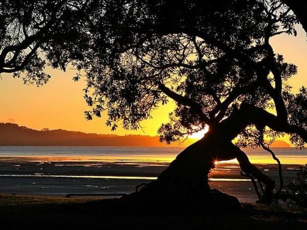 Beachside At Snells - Snells Beach Apartment 외부 사진